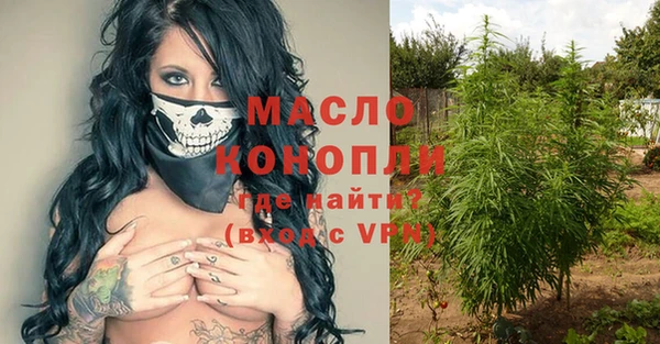 молекула духа Алексеевка