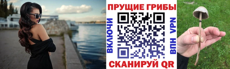 Галлюциногенные грибы Magic Shrooms  Арамиль 