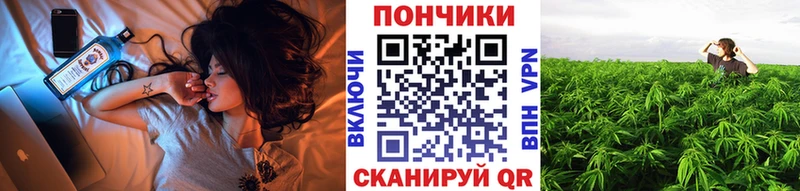 Каннабис OG Kush  Арамиль 